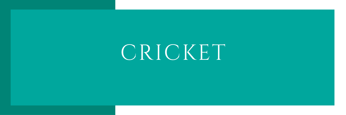 Cricket - All About Annie LTD
